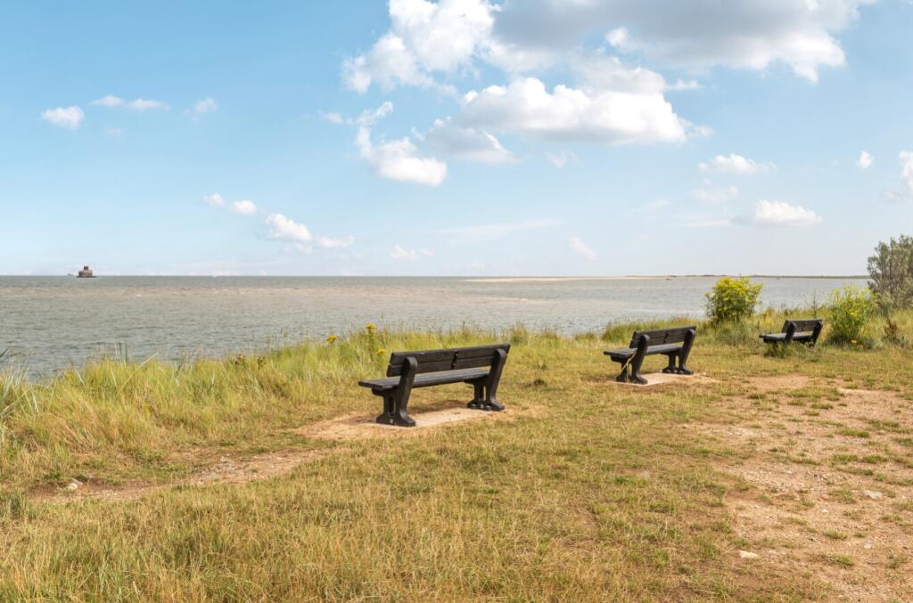 1325920-2-687e9ab87893c