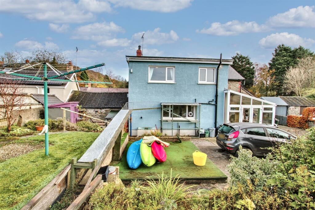 cat run into the catio