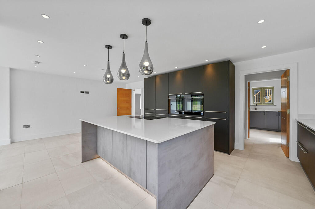 PT-DB(WP)-Birchcr...