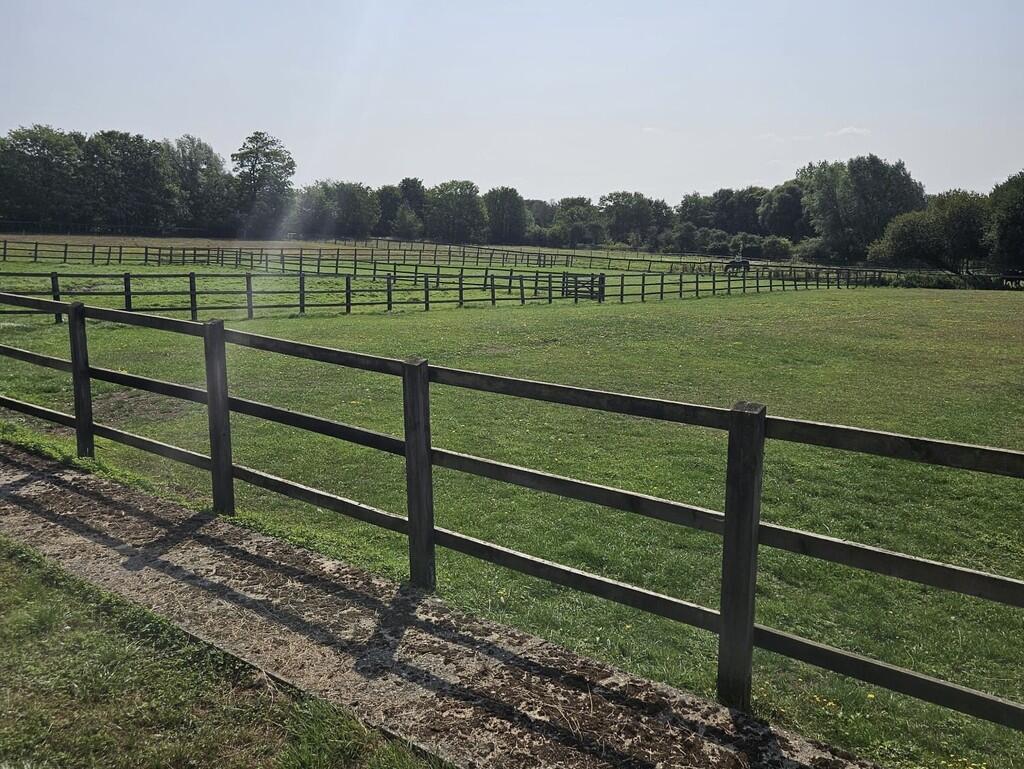 8ddced1b-bb5e-484...