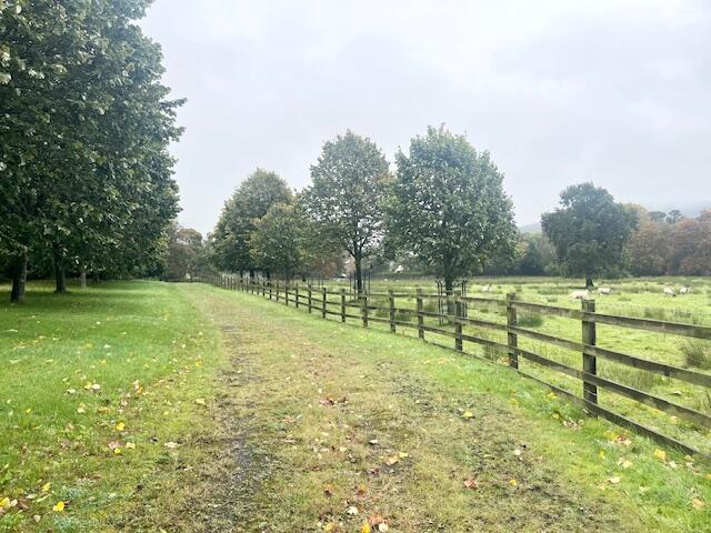 Image012 T202510101622.jpg