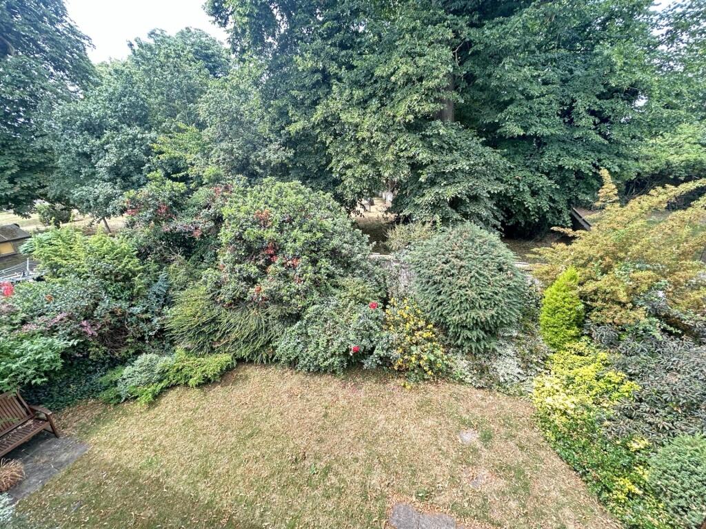 Garden 1