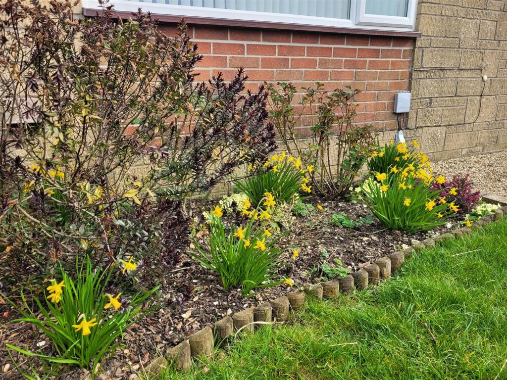 Spring garden