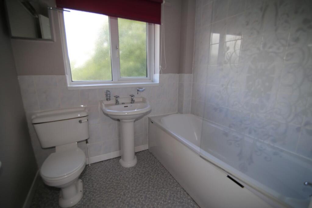 IMG_7336 (Large).JPG