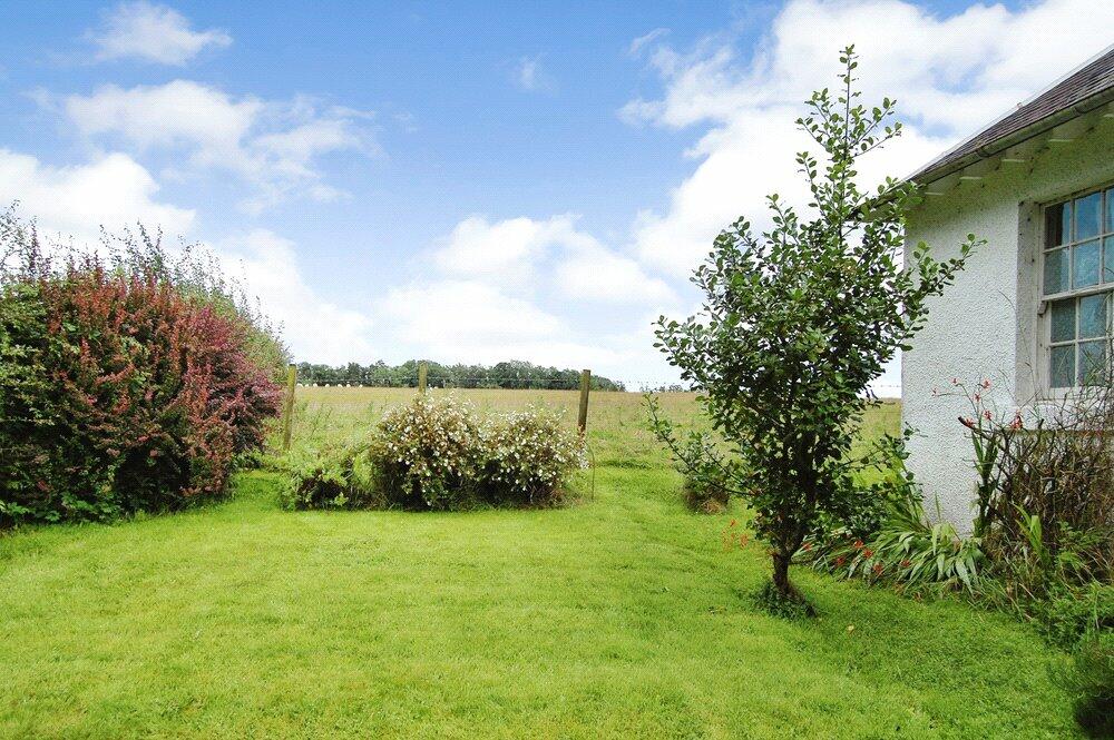 Garden 3