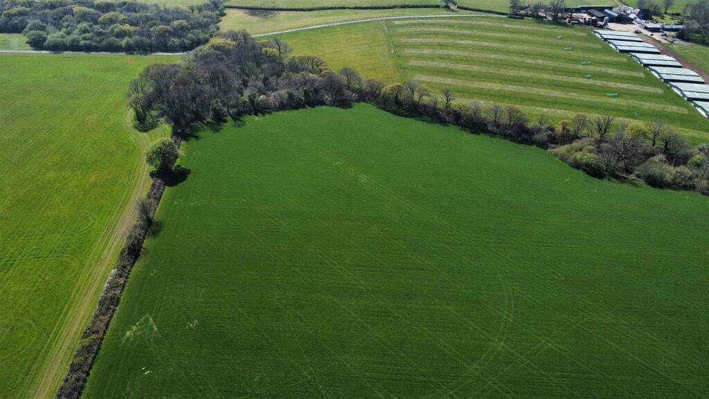 dji_fly_20250411_143740_196_1744378760923_photo_op