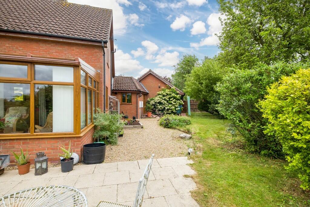 1440px-Hedgehogs-...