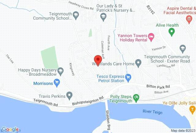 Google Maps Image