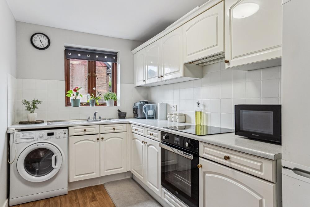 DSC00904 - 800px.jpg