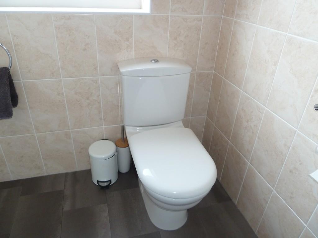 Toilet in shower rm