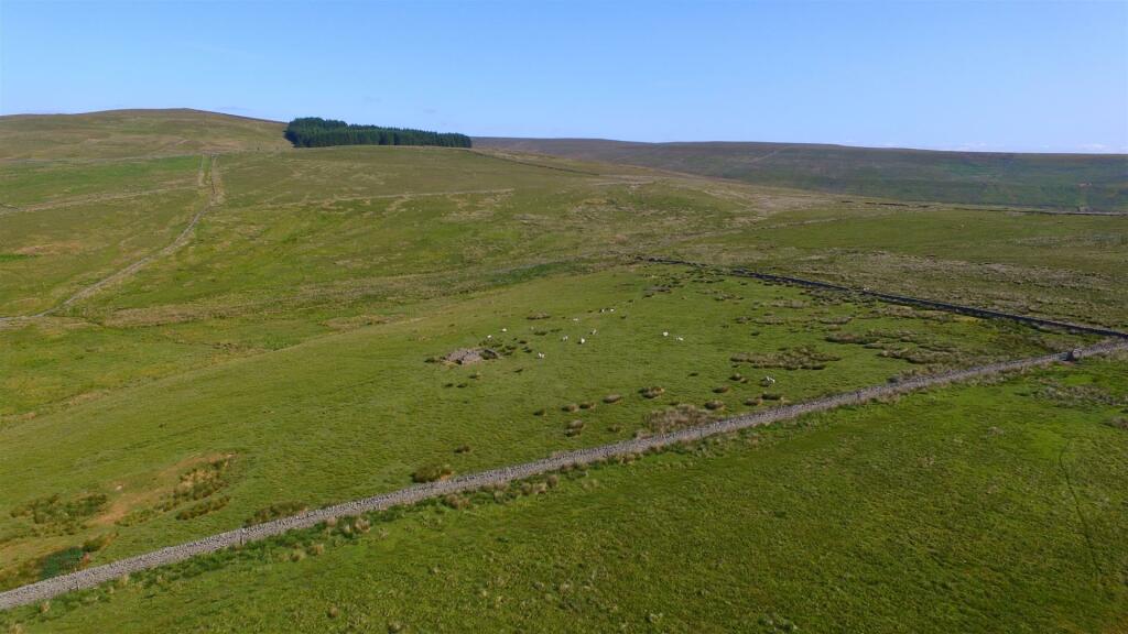 DJI_0760.JPG