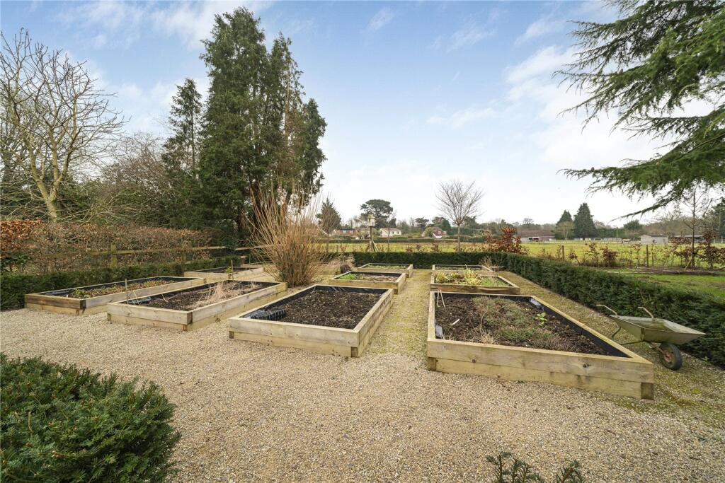 Vegetable Garden