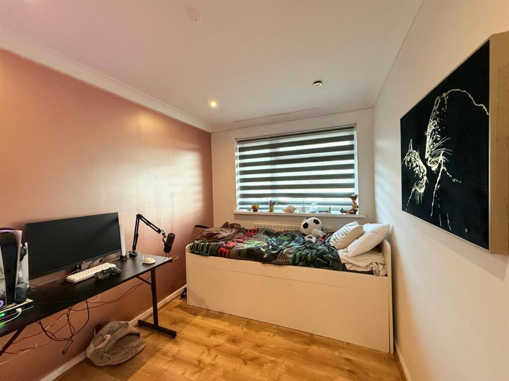5.jpeg