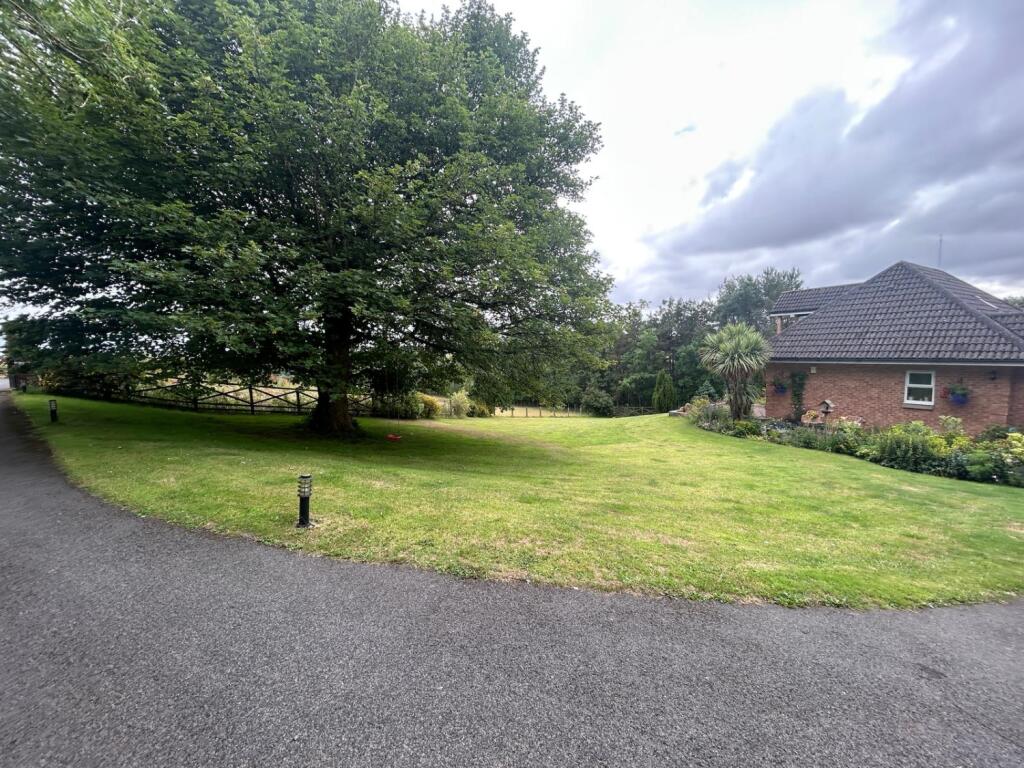 c84ca38b-ff14-4784-a1e1-50a764e20666