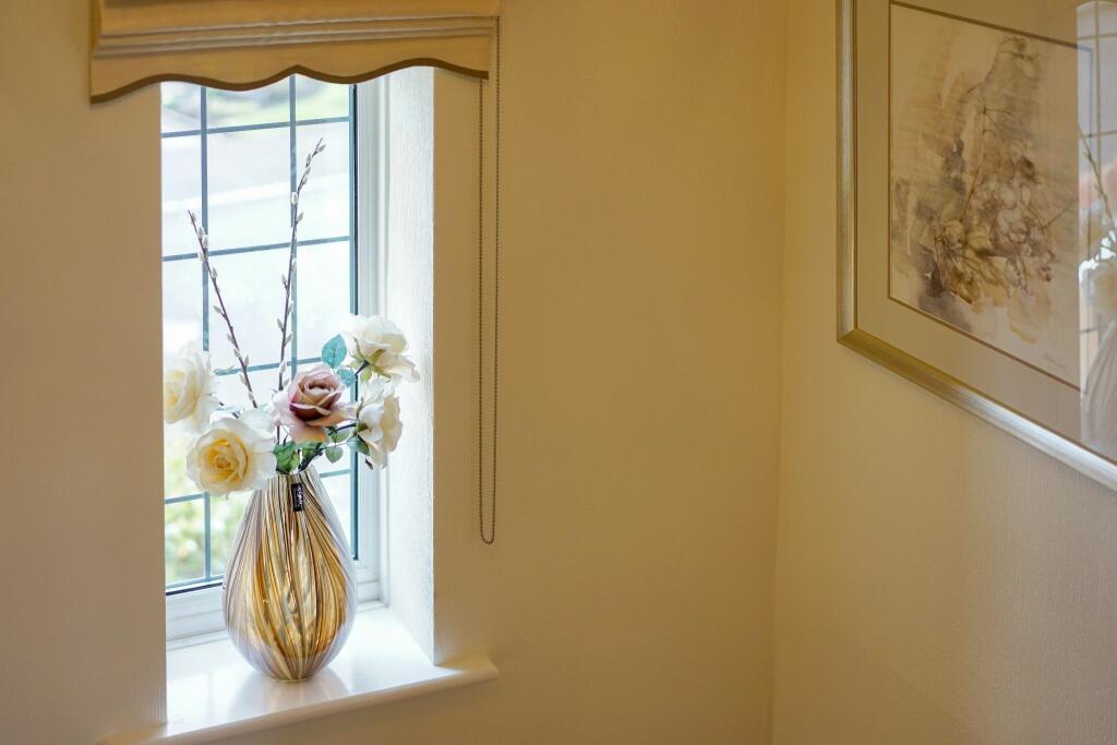 Photograph 46