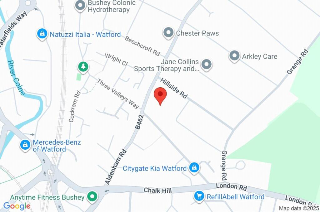 Google Maps Image