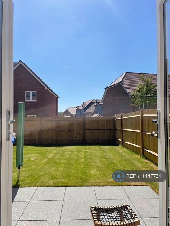 Back Garden 