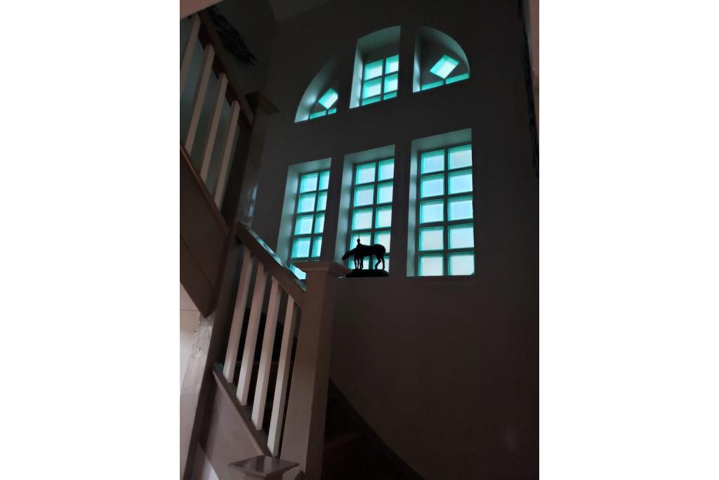 Main Residence