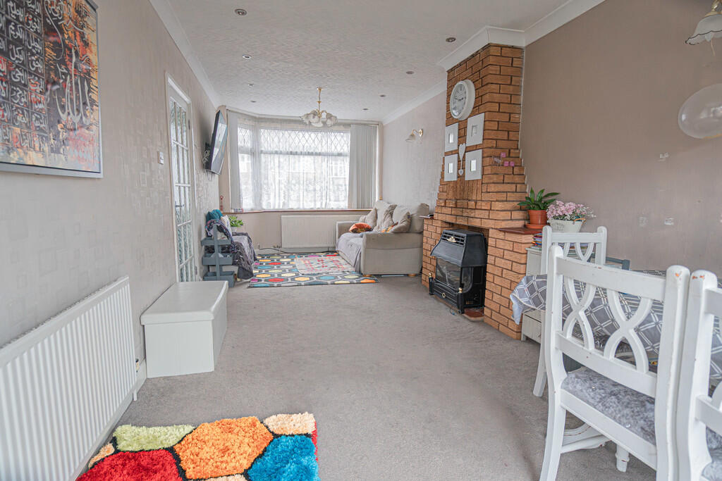 20251111-DSC07133...