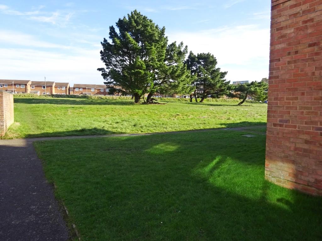 Green Space
