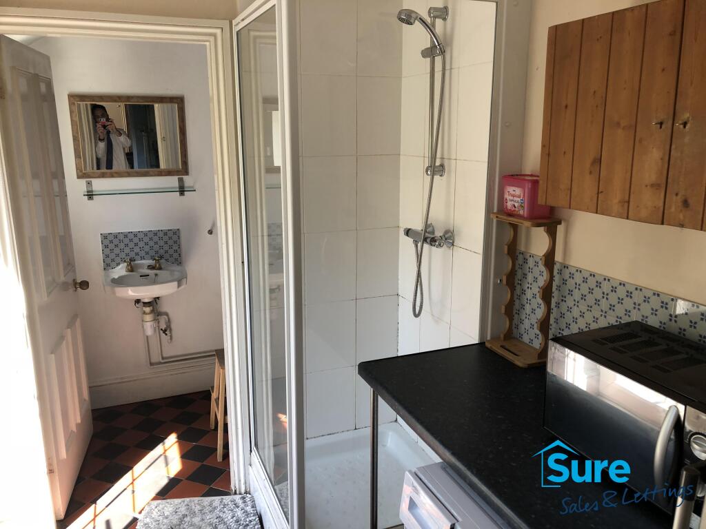 Dowstairs Shower room