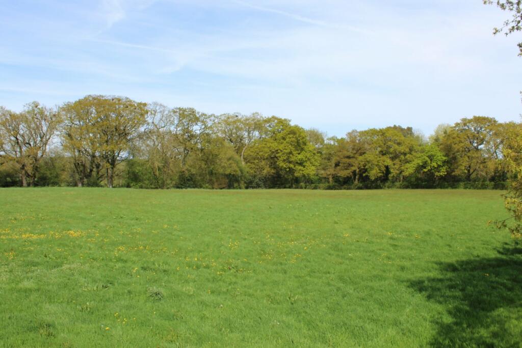 View Over Pasture