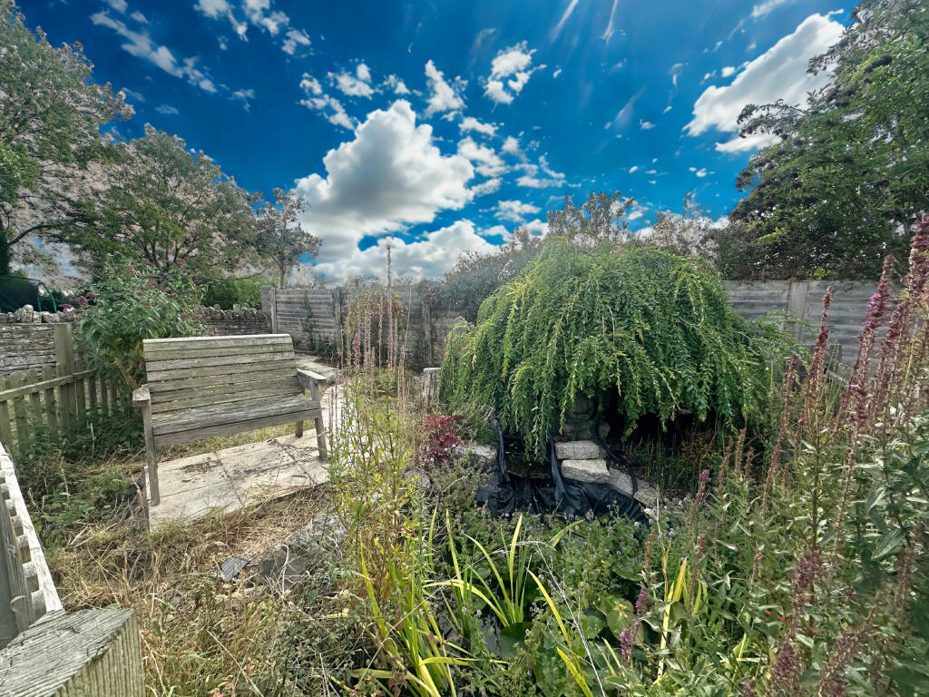 Pond