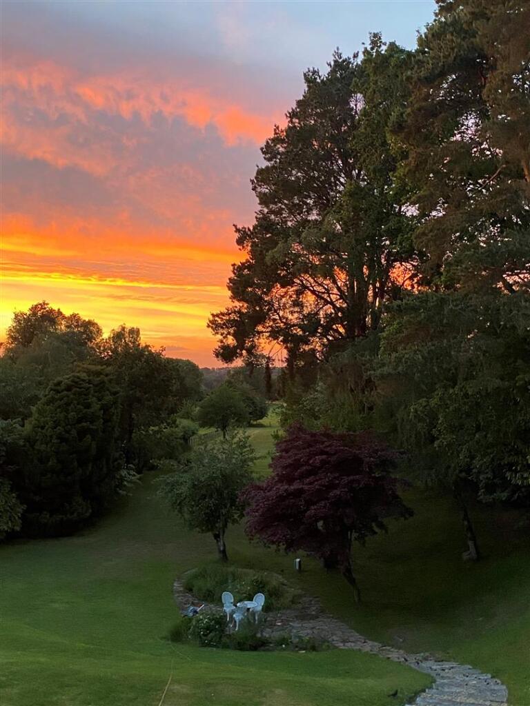 sunset.jpg