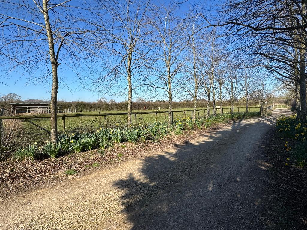 Long drive to Barn Cottage