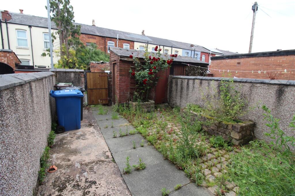 IMG 5650  Medium  T202506161010.jpg