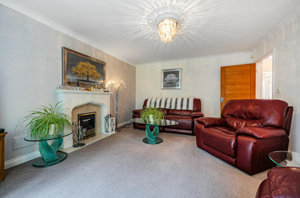 664f51929faa9-l-1131551 (3)