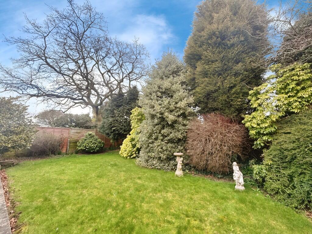 26d2ee21-WhatsApp...