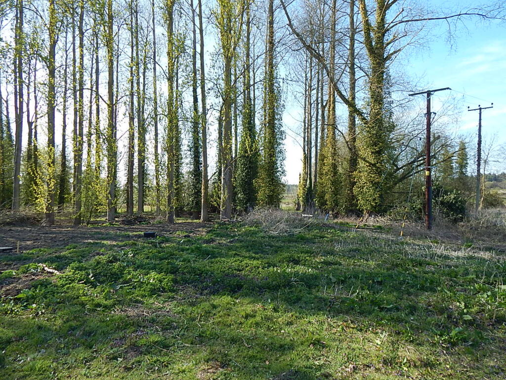 5 T202504111057.jpg