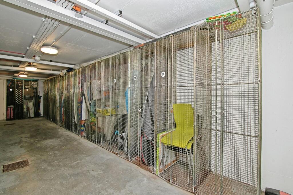 Surf Locker One