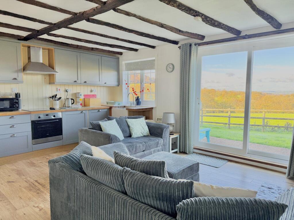 Living Area/Kitchen