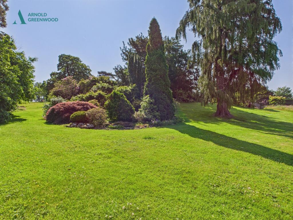Communal Grounds