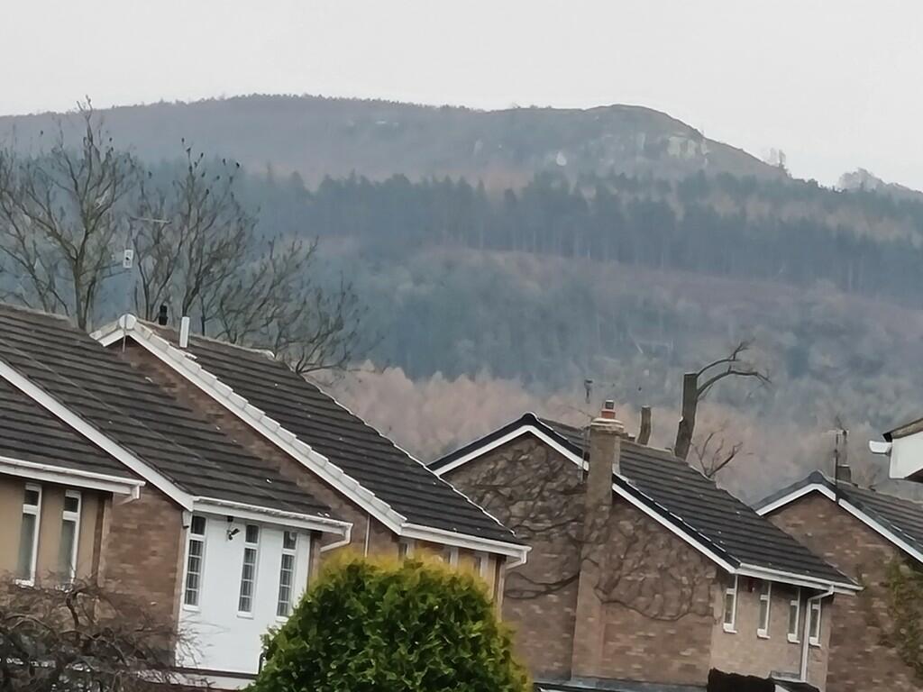 View from Bedroom...