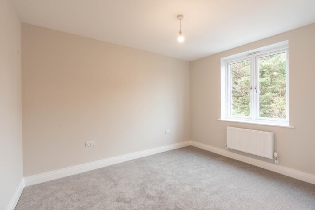 81541_10396910_IMG_15_0000