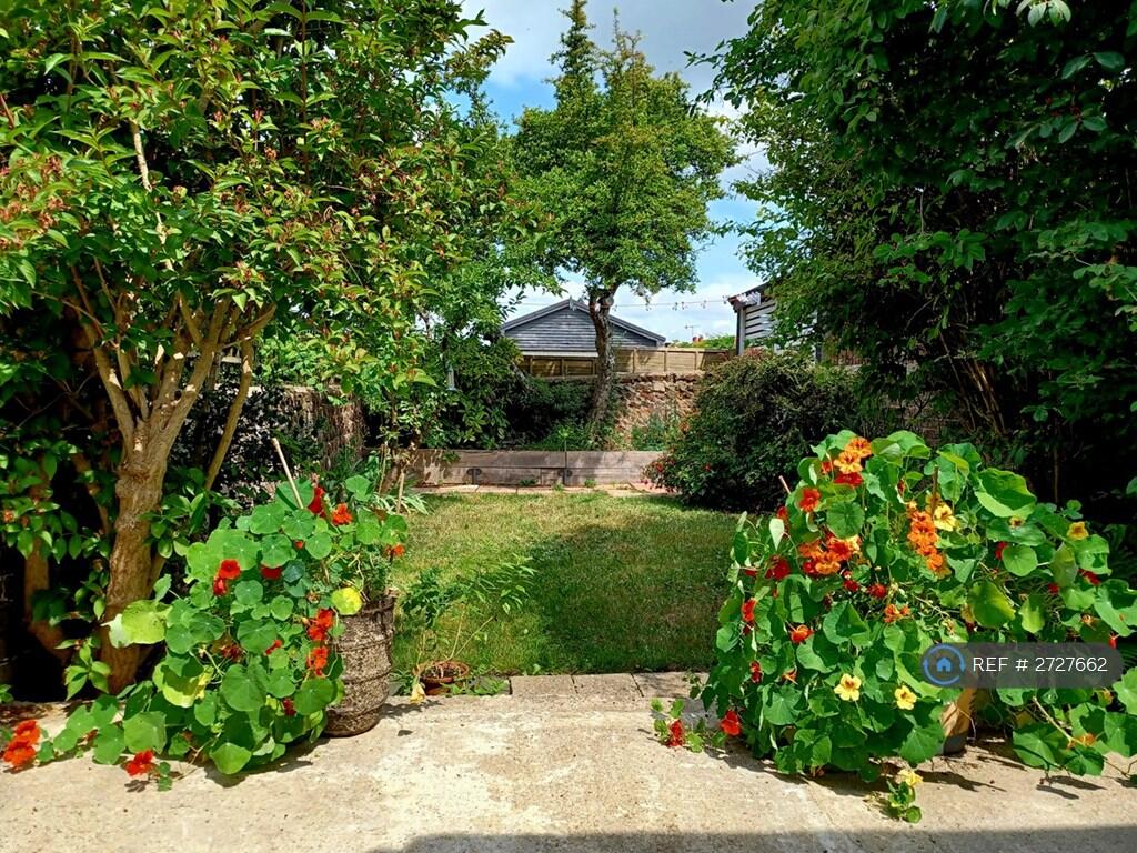 Garden In Summer 2023