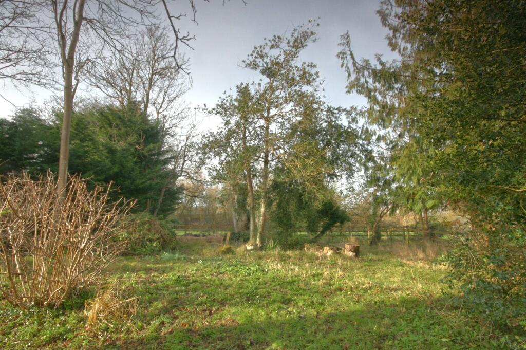 Photograph 2