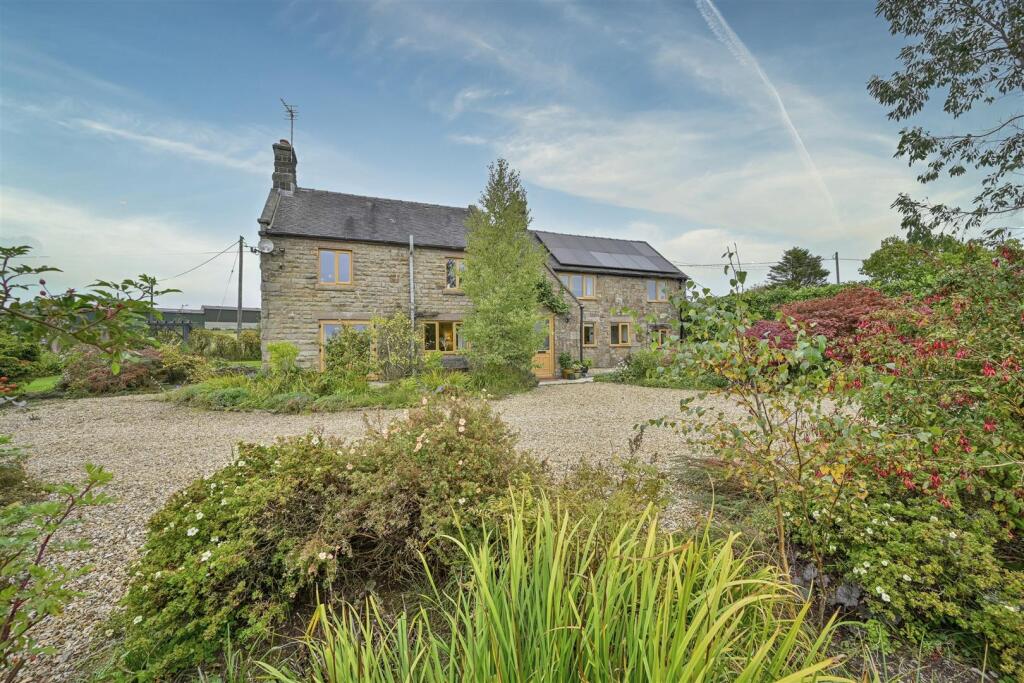 The Property