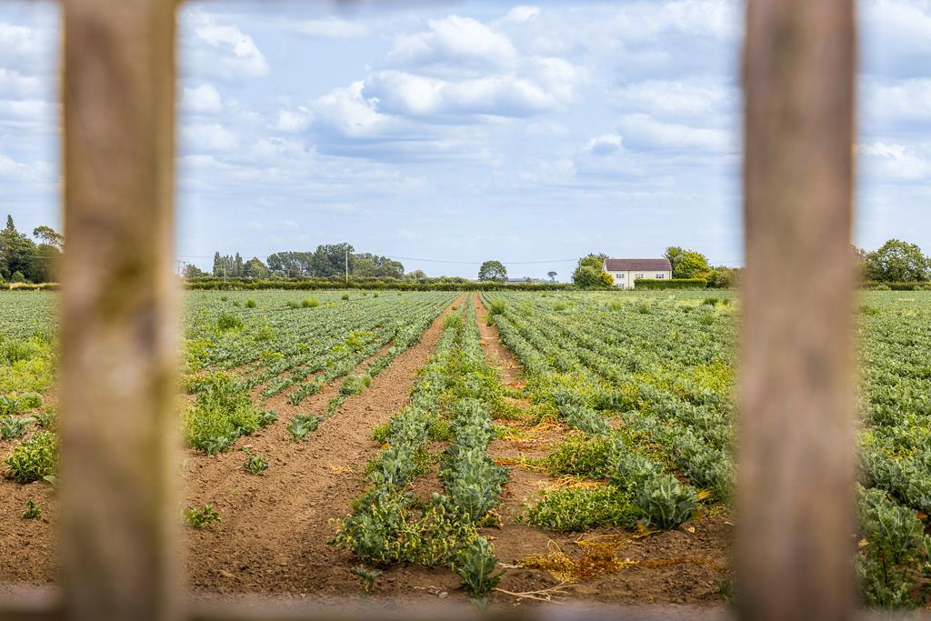 559 Broadgate (Weston)-18.jpg