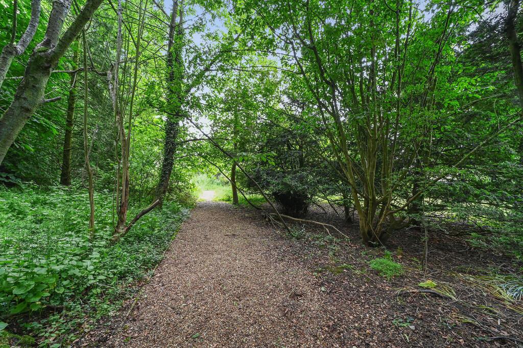 PT-DB(WP)-WillowH...