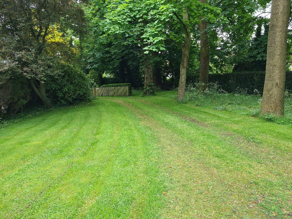 Grounds