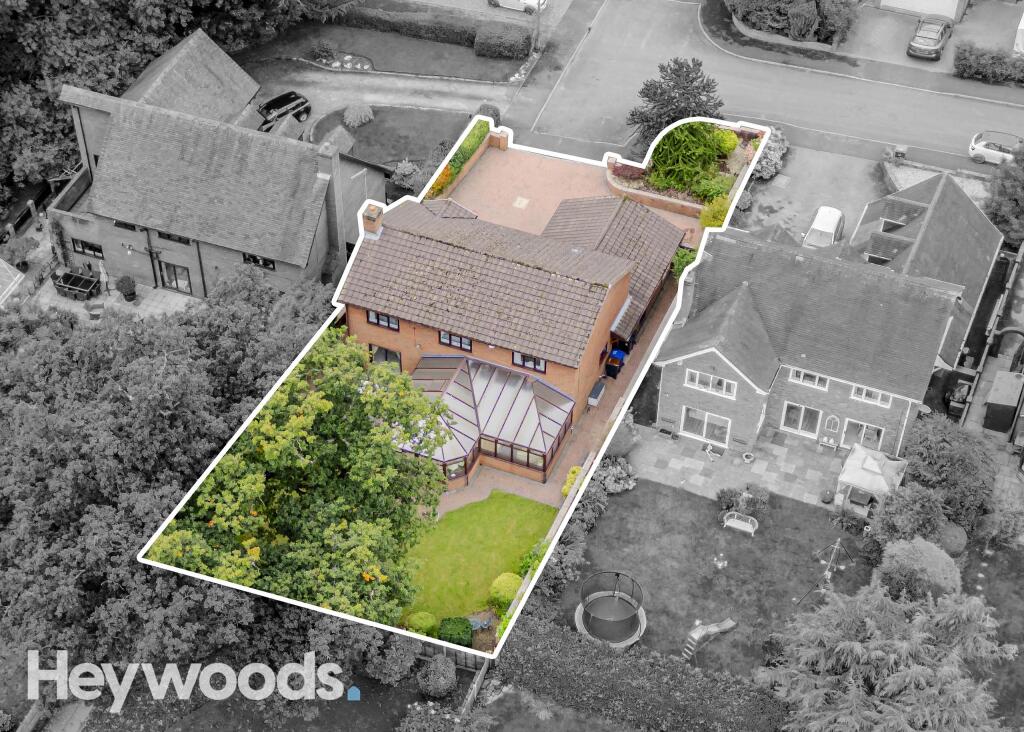 20240924-DJI_0090-Enhanced-SR - Copy