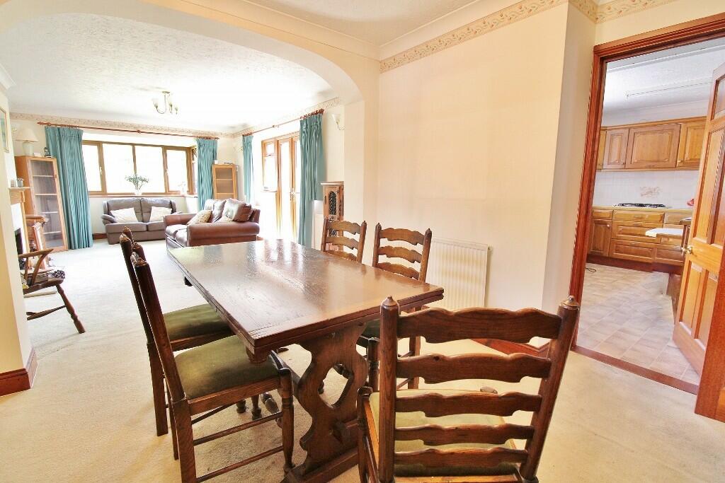 IMG_5507 (1024x68...