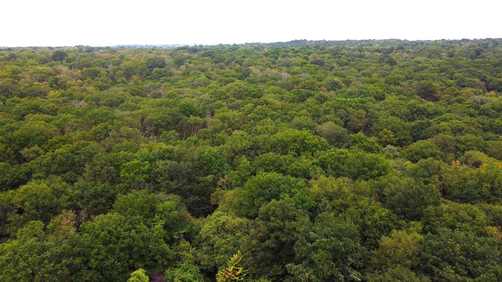 133 Overdale still4.jpg