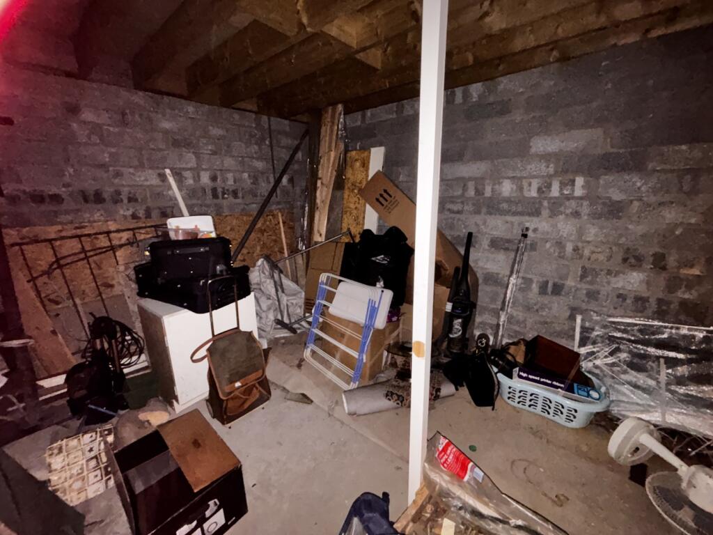 IMG 8198  Large  T202511031322.jpg