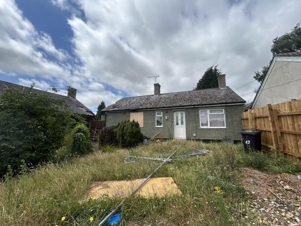 3  Medium  T202507021056.jpg