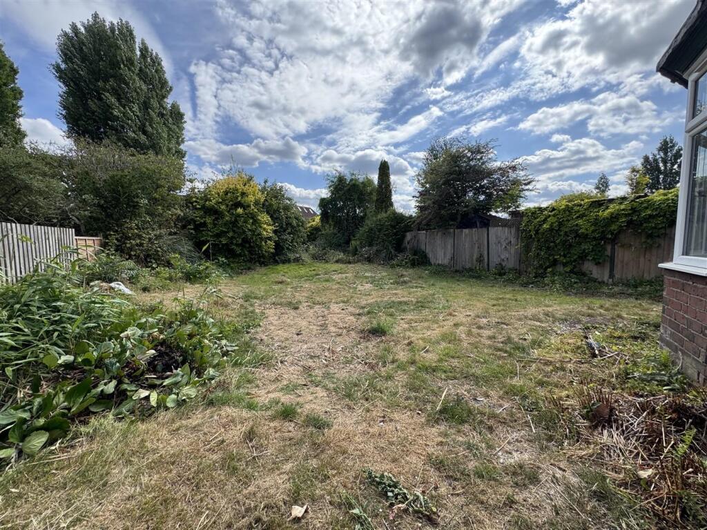 IMG_8646 (Large).JPG